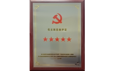 雙星閃耀映初心 黨建引領(lǐng)強發(fā)展&mdash;&mdash;勝動集團兩黨支部同獲五星級殊榮
